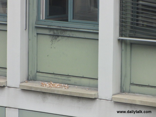 typisch Raucher