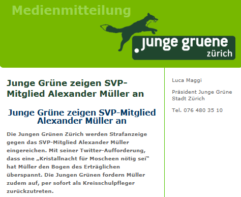 MM_JungeGrueneZH_24062012